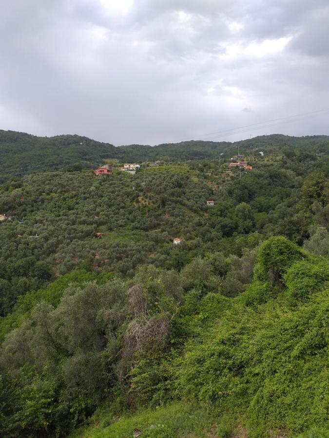 Casa Di Vecchio Borgo Villa ซาร์ซานา ภายนอก รูปภาพ